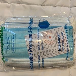 Ecoparksg Disposable Premium 3-Ply Mask